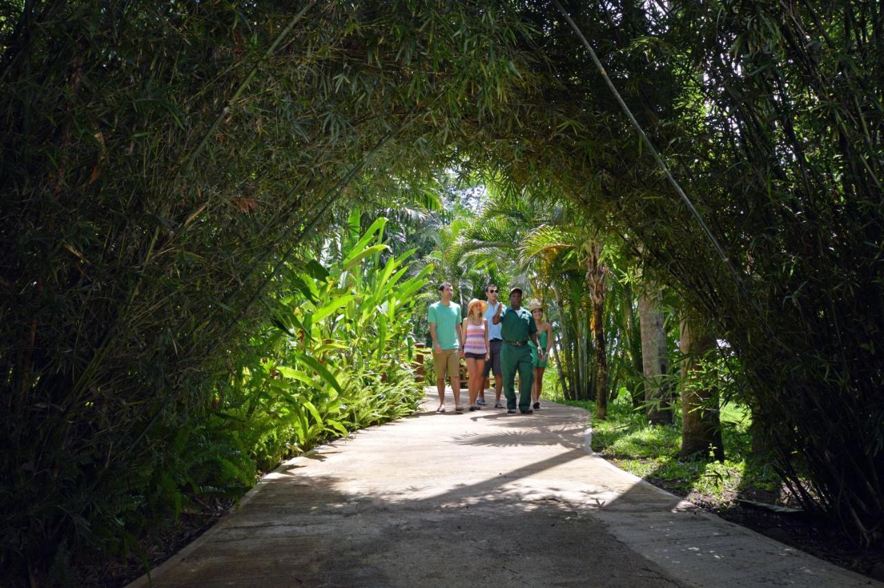 Sunset At The Palms Resort (Adults Only) Negril Exterior photo